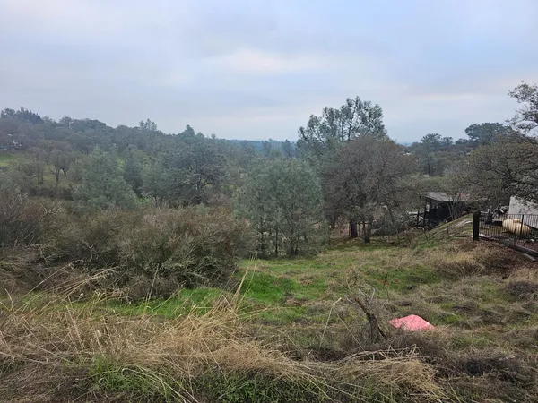 a backyard of a house with lots of green space