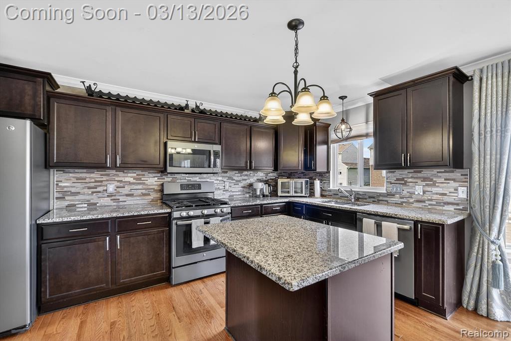 4153 Ash Tree Lane Howell, MI 48843 - Photo 11 of 43 Gallery Image 11
