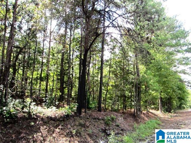 8076 Clairmont Springs Road, Unit 36 ACRES Lineville, AL 36266 - Photo 1 of 7