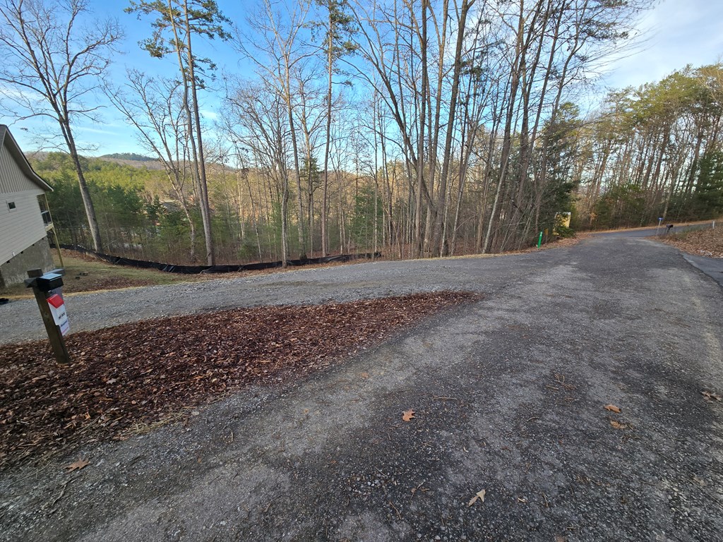 30 Small Street Blairsville, GA 30512 - Photo 3 of 36 a view of a backyard