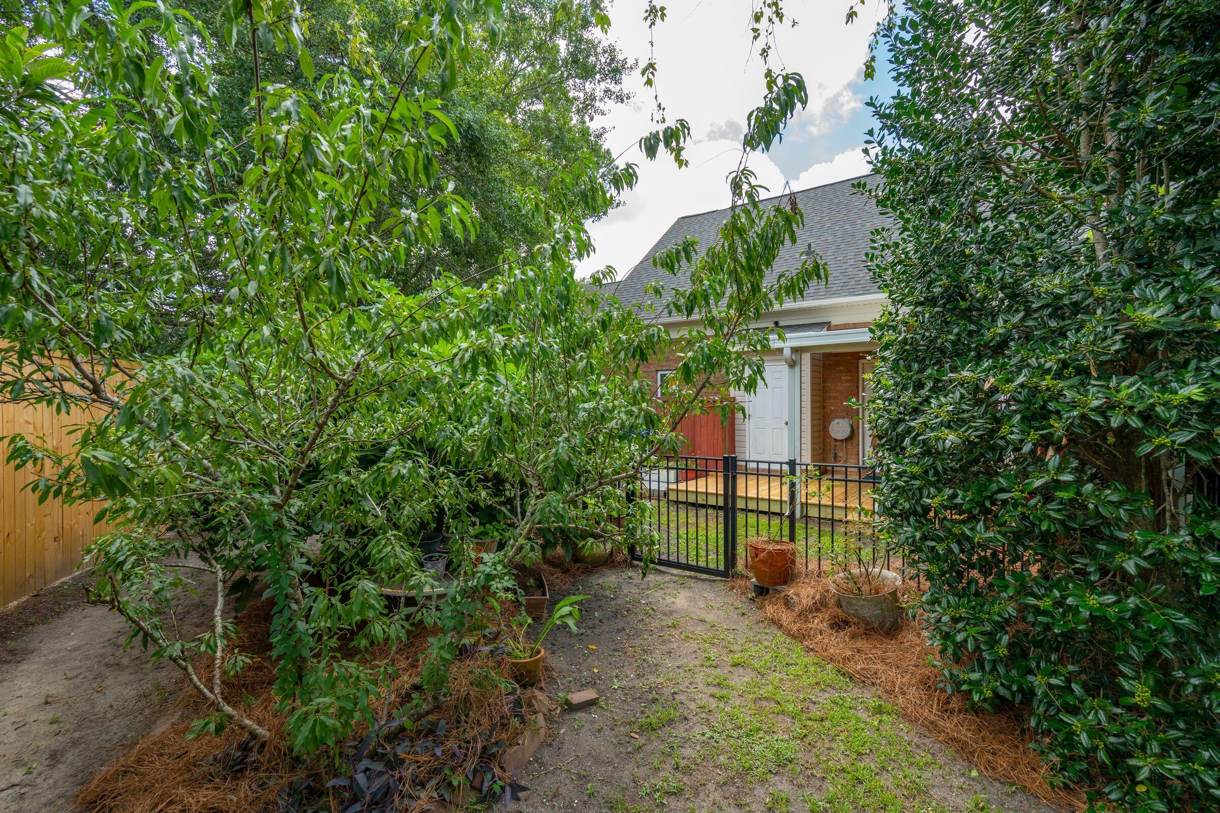 1678 Lauda Drive Mount Pleasant, SC 29464 - Photo 40 of 43 40