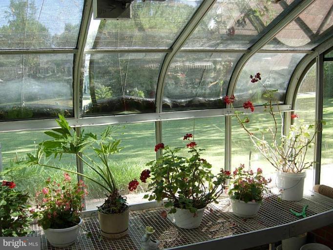812 Notley Road Silver Spring, MD 20904 - Photo 9 of 27 Greenhouse