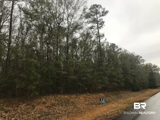 23588 Old Weekley Road Bay Minette, AL 36507 - Photo 6 of 30 Frontage