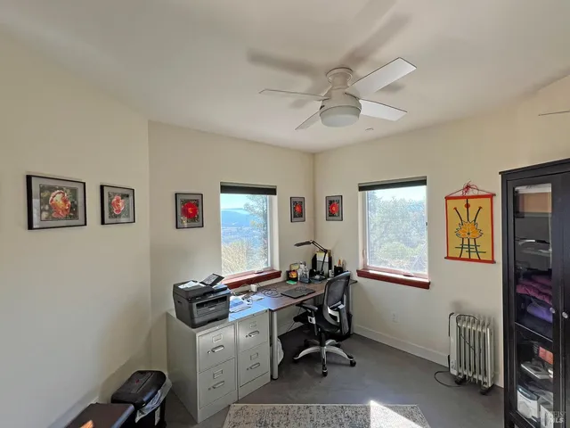a view of a backyard with plants and large trees