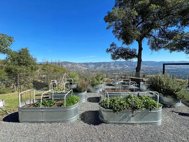 a view of a street with a building in the background