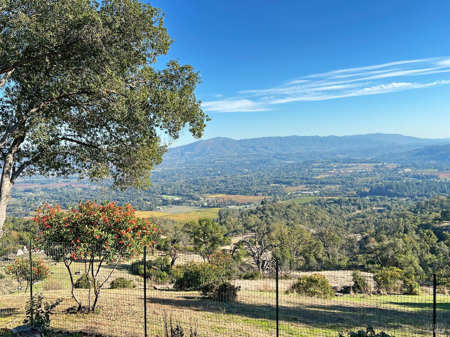 11401 Bakers Creek Road Redwood Valley, CA 95470 - Photo 53 of 70 a view of a yard with an outdoor space