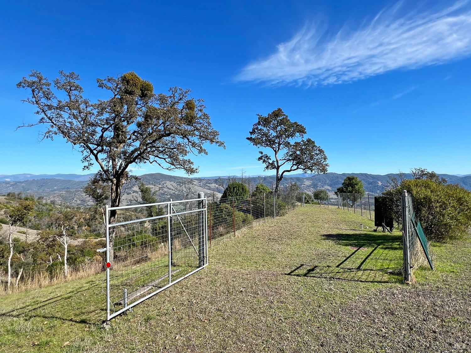 11401 Bakers Creek Road Redwood Valley, CA 95470 - Photo 63 of 70 a view of a yard with a tree