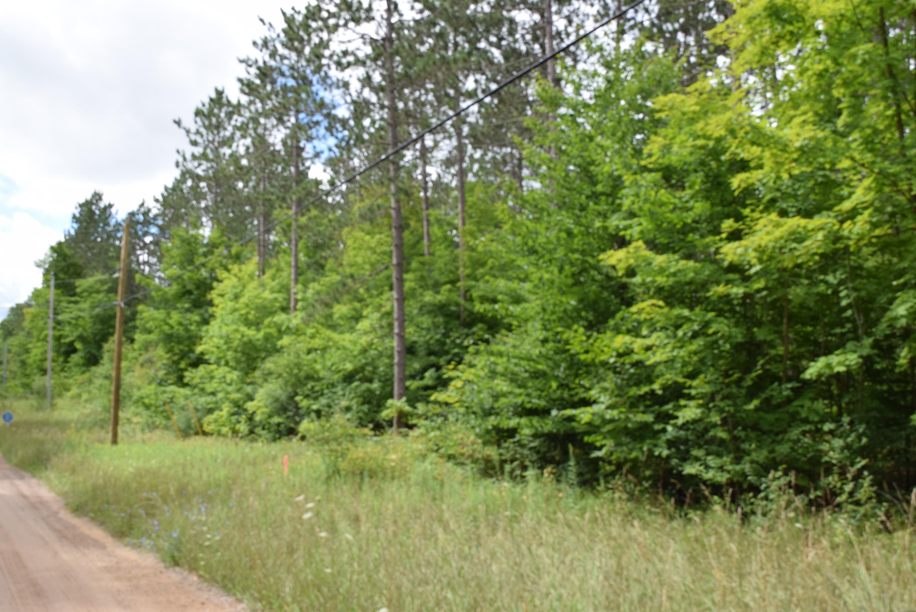 0 Rahe Road Kingsley, MI 49649 - Photo 6 of 8