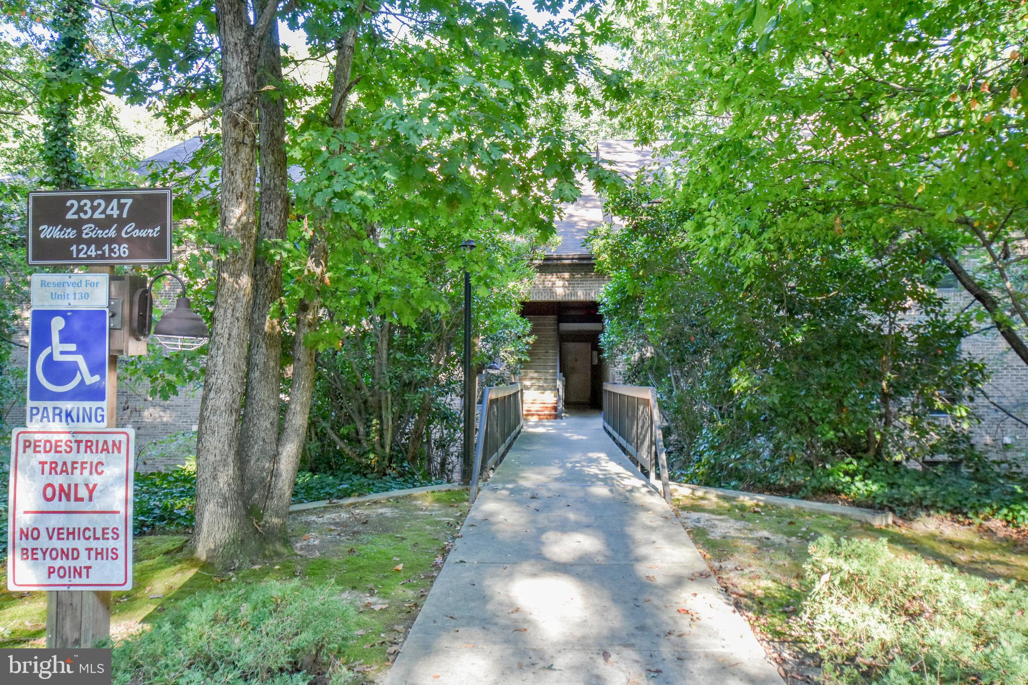 a view of a street with potted plants and a tree