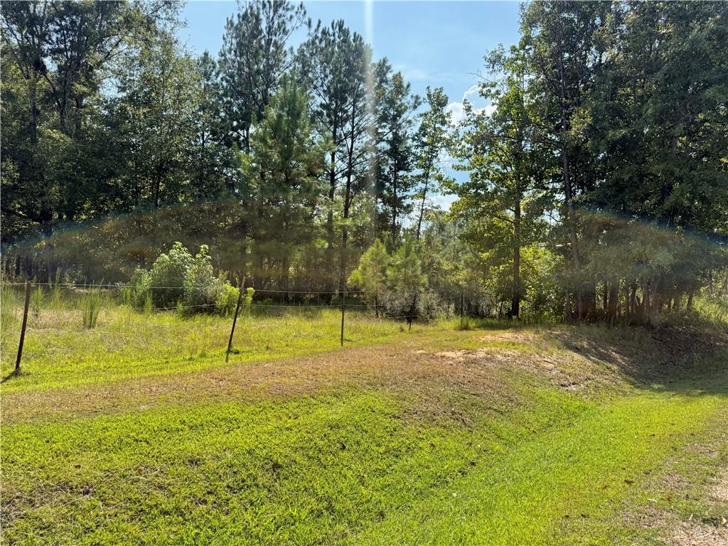 0 Bethel Road Seale, AL 36875 - Photo 4 of 14 Additional content