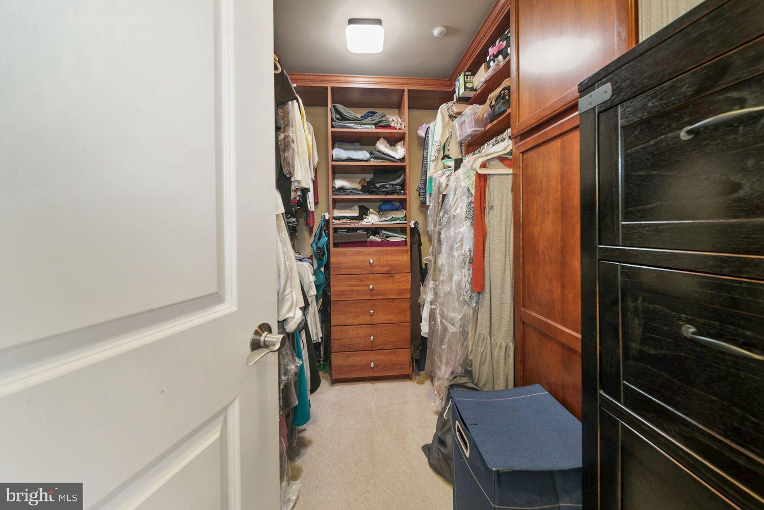 11700 Old Georgetown Road, Unit 1405 North Bethesda, MD 20852 - Photo 13 of 17 a view of walk in closet