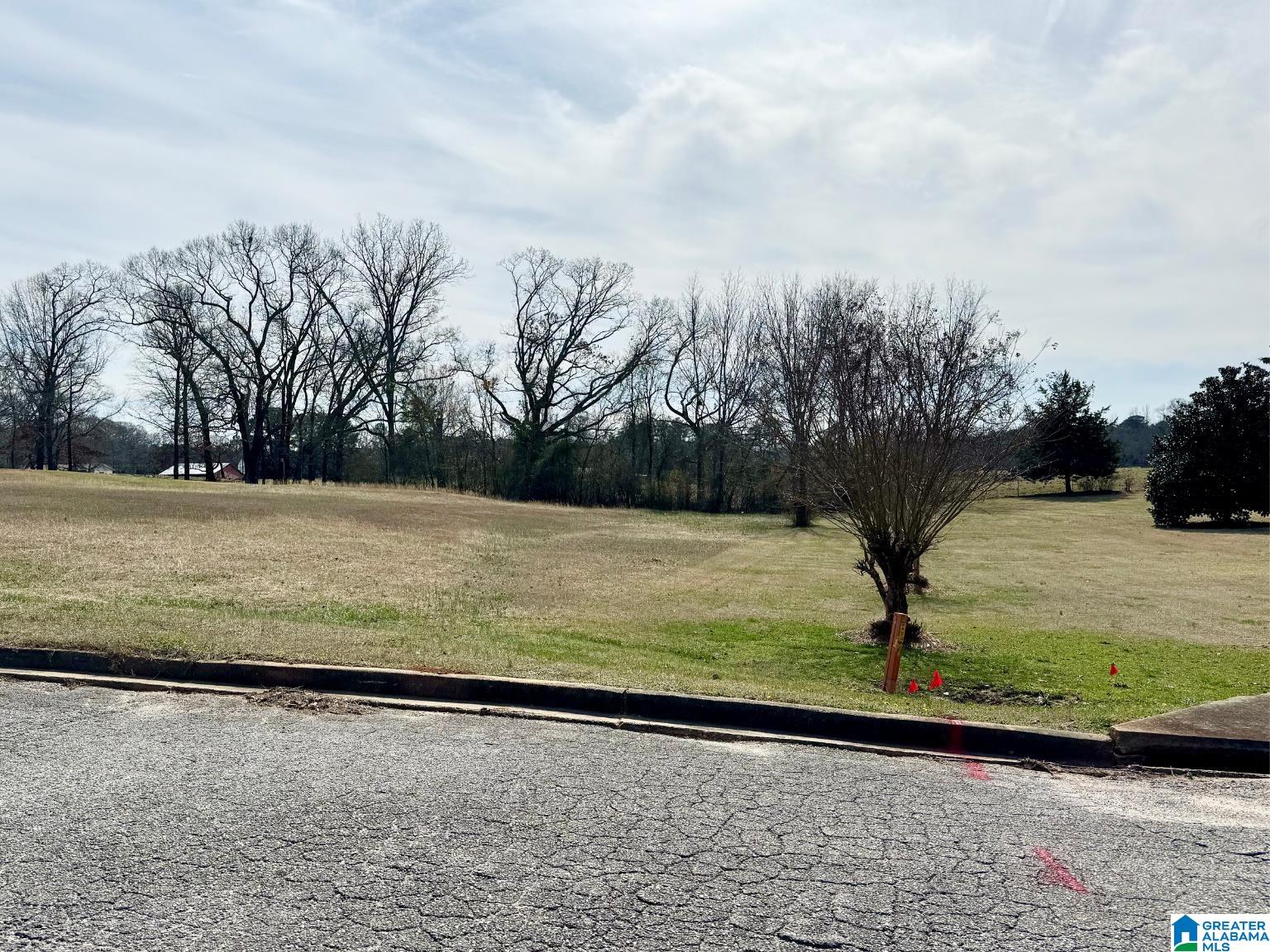 0 Oakview Way, Unit 20 Roanoke, AL 36274 - Photo 2 of 3
