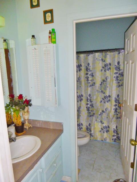1756 Central Park Road Charleston, SC 29412 - Photo 14 of 17 1756 Central Park Rd (3)