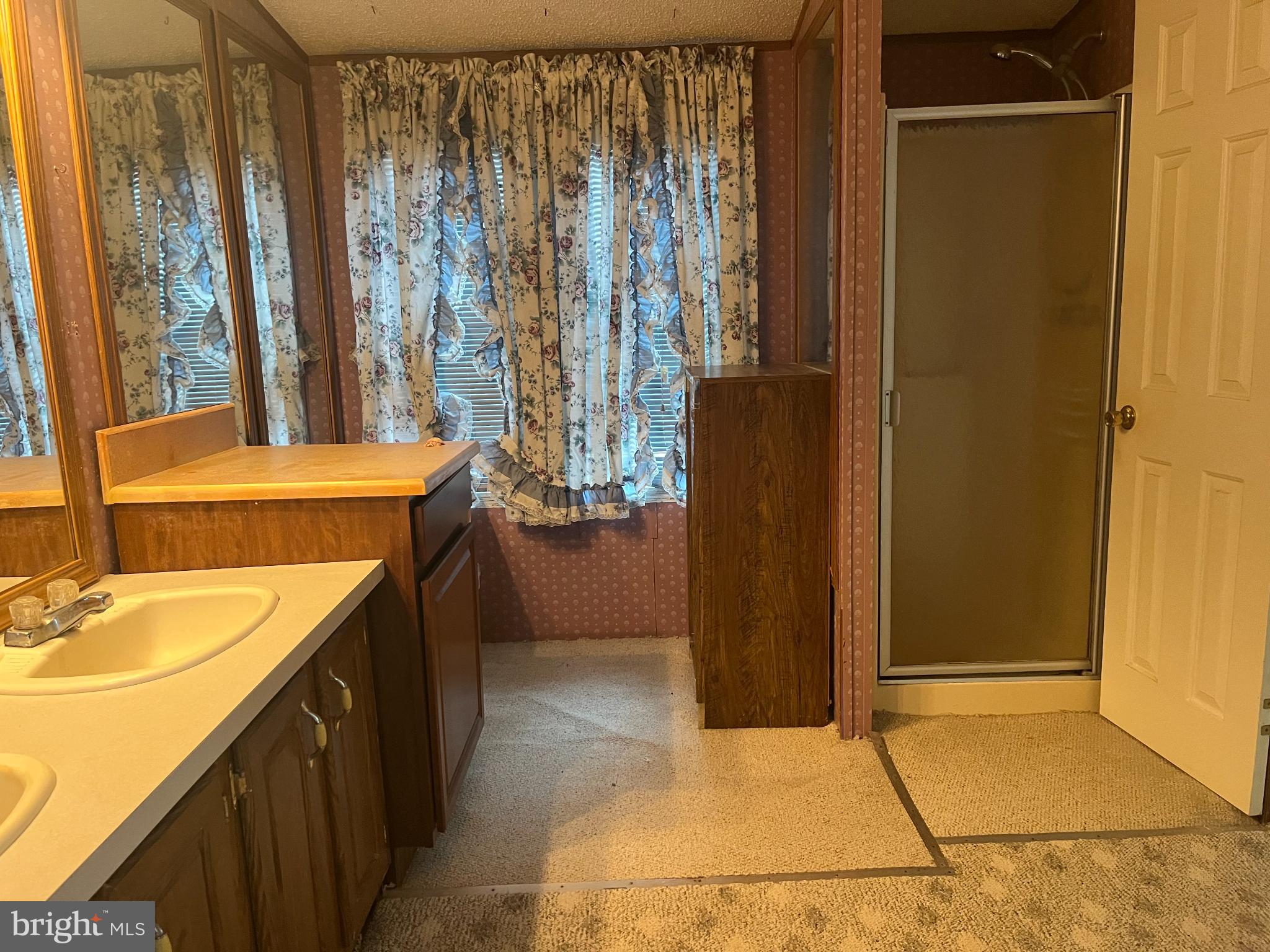 291 Dean Road Toms Brook, VA 22660 - Photo 13 of 21 Charming bathroom with vintage flair.