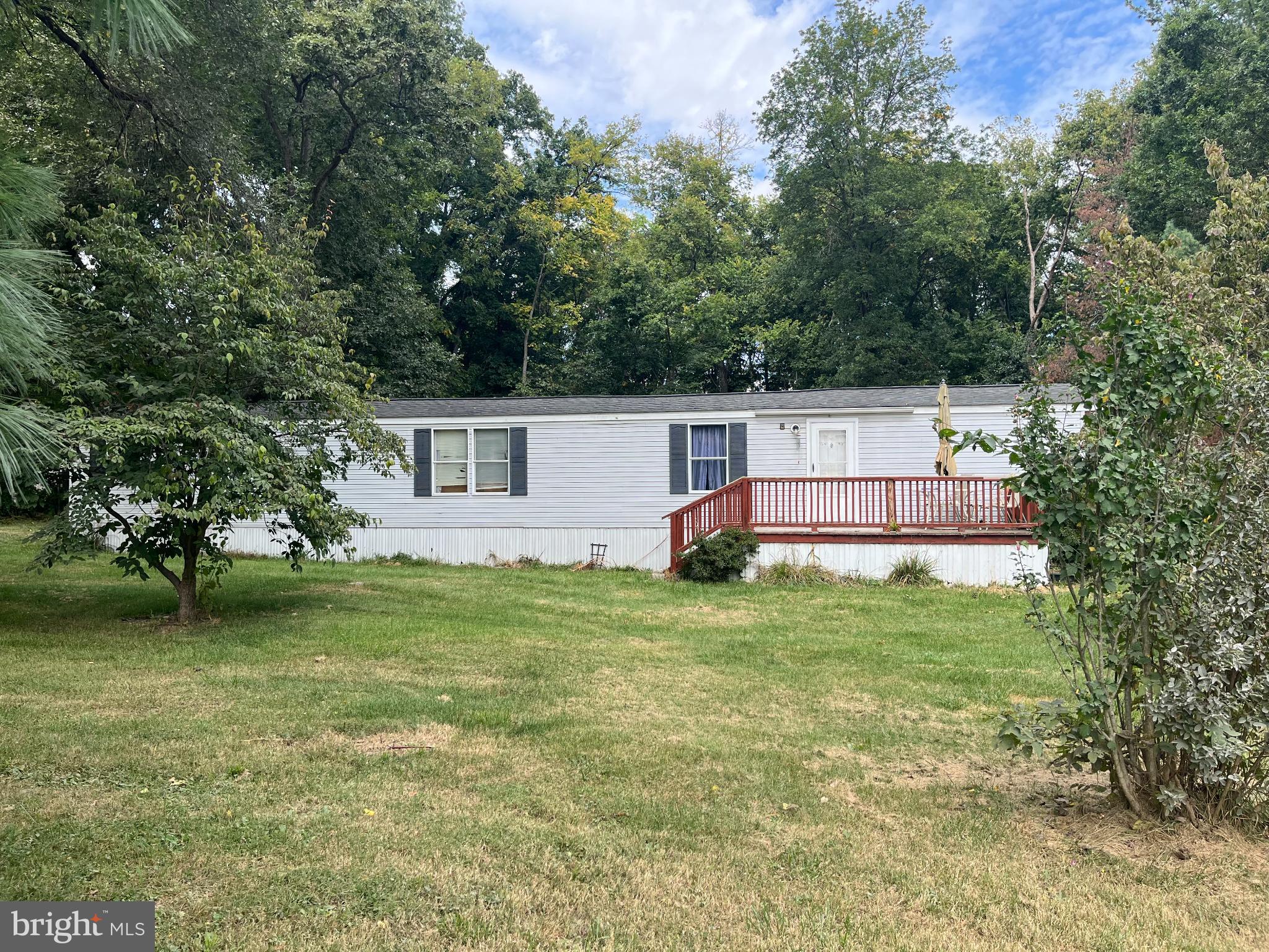 291 Dean Road Toms Brook, VA 22660 - Photo 3 of 21 Charming home nestled in lush greenery.