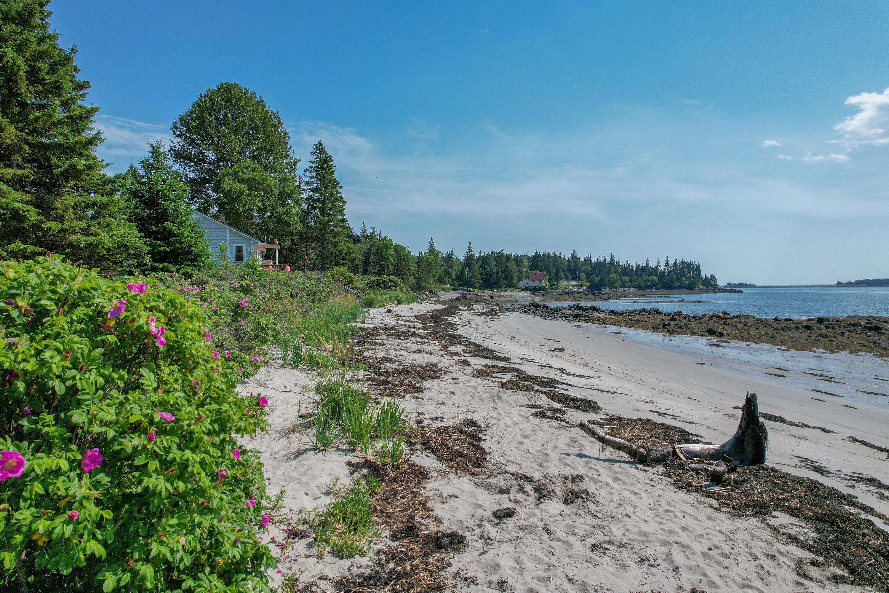397 Cape Split Road Addison, ME 04606 - Photo 45 of 64