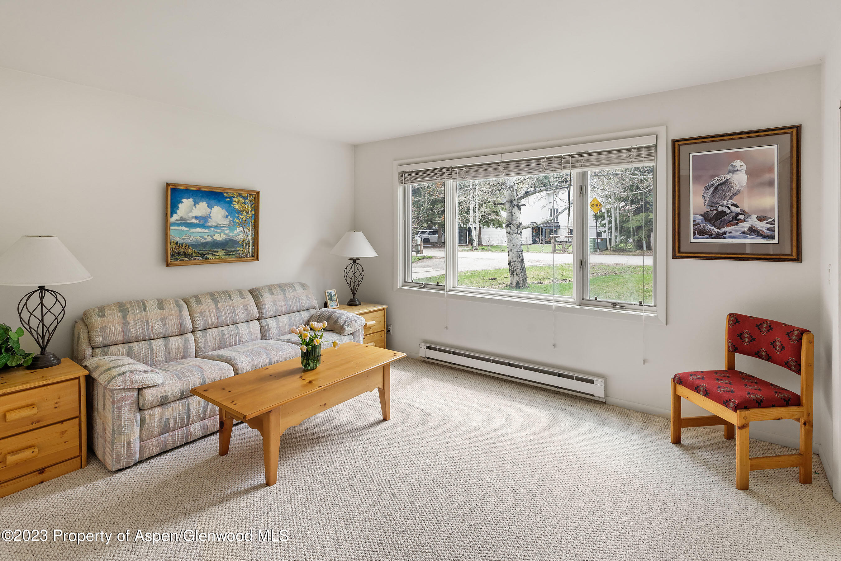 800 Bonita Drive, Unit 1 Aspen, CO 81611 - Photo 13 of 18 a living room with furniture a rug and a window