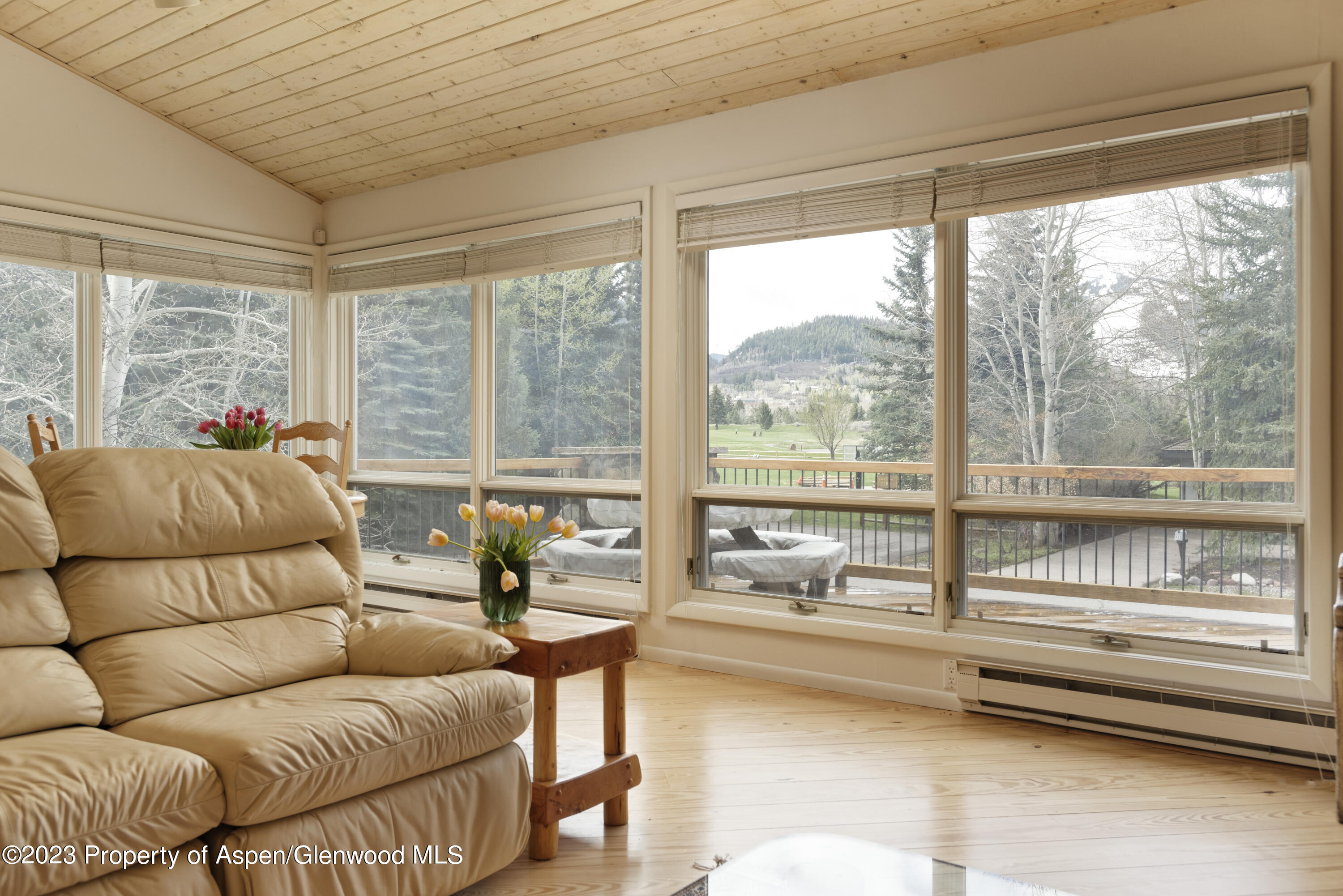 800 Bonita Drive, Unit 1 Aspen, CO 81611 - Photo 2 of 18 a living room with furniture and floor to ceiling windows
