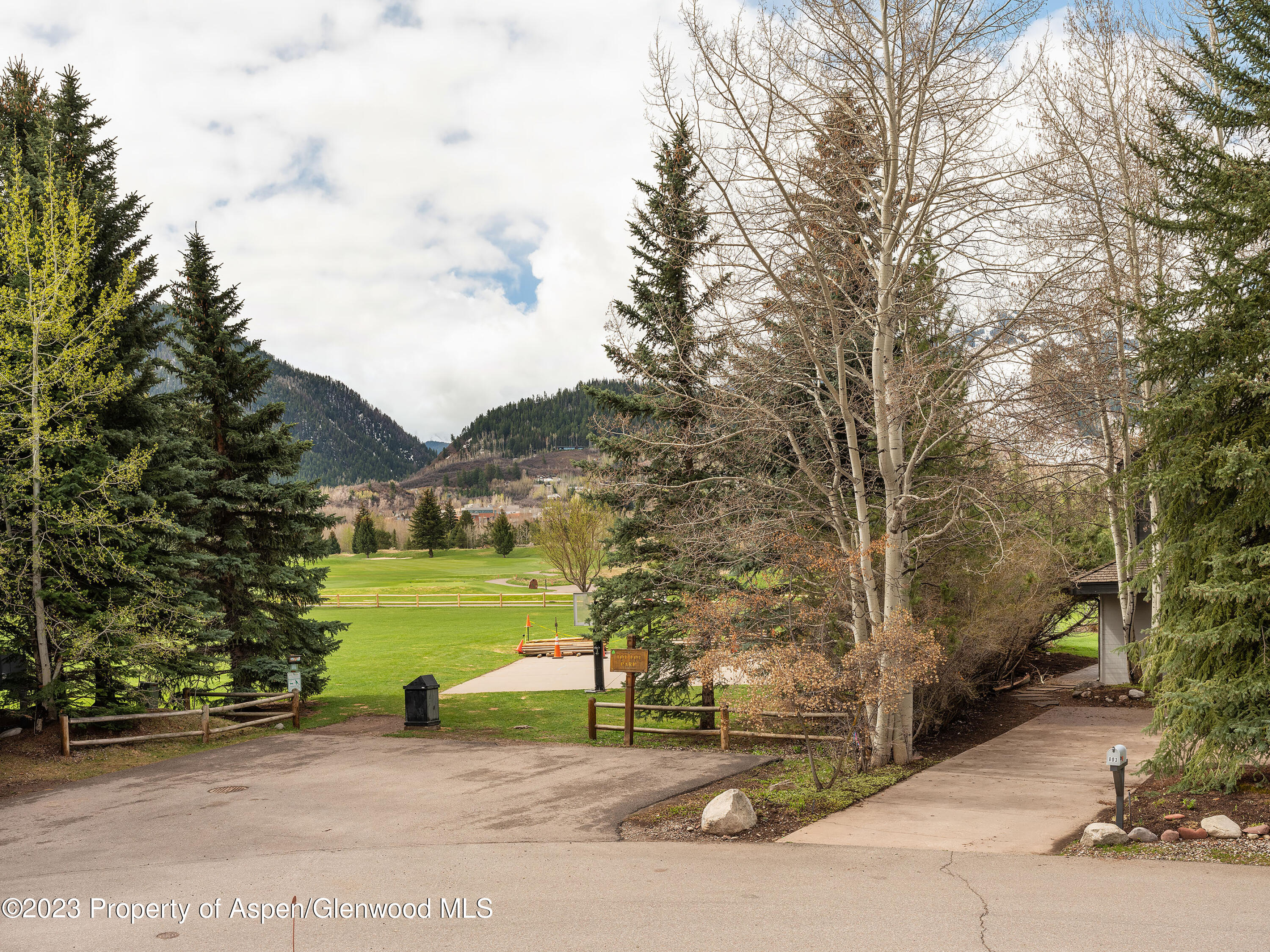 800 Bonita Drive, Unit 1 Aspen, CO 81611 - Photo 4 of 18 a view of a field with an trees