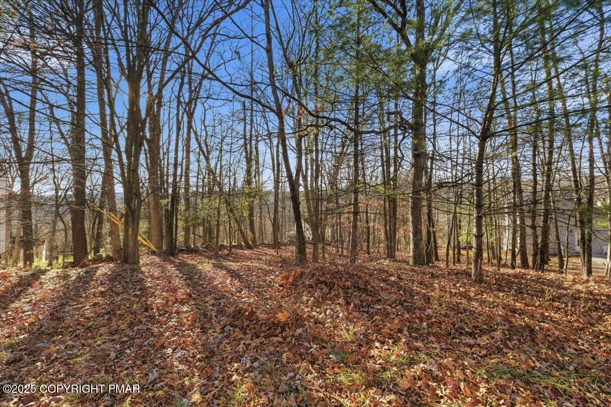 3 Manchester Drive Bushkill, PA 18324 - Photo 11 of 14 a big yard with lots of trees