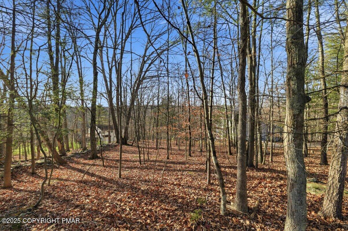 3 Manchester Drive Bushkill, PA 18324 - Photo 12 of 14 a backyard of a house with lots of green space