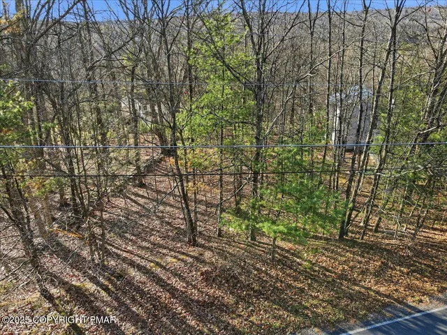 a view of a yard with plants and wooden fence