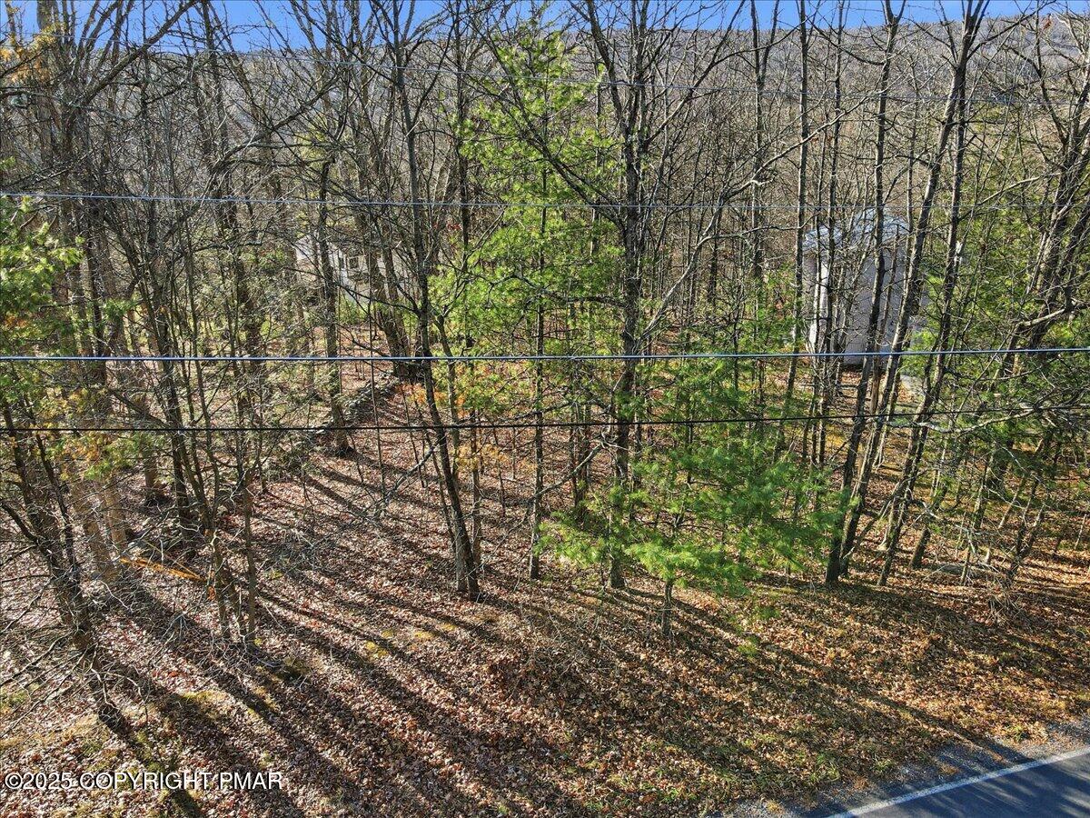 3 Manchester Drive Bushkill, PA 18324 - Photo 4 of 14 a view of a yard with plants and wooden fence