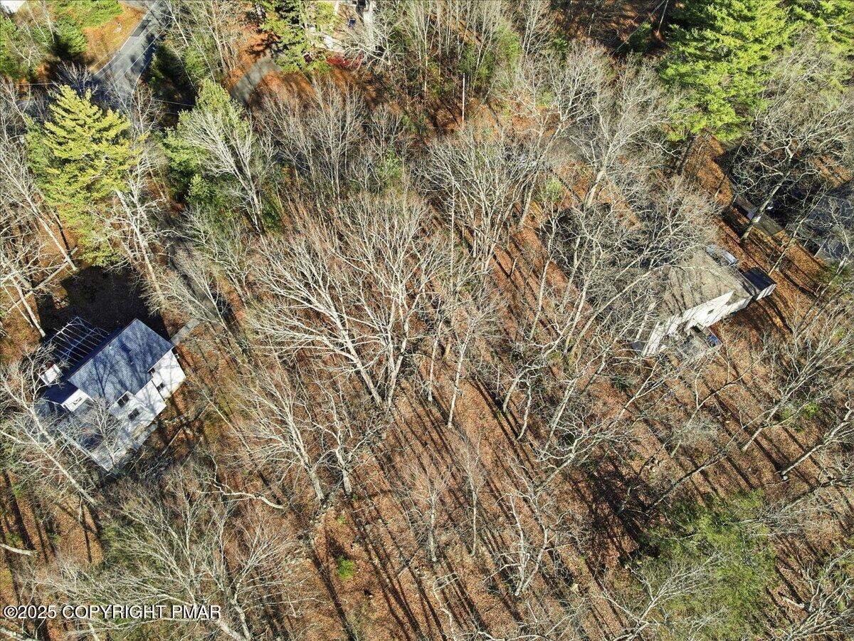 3 Manchester Drive Bushkill, PA 18324 - Photo 8 of 14 a view of a tree