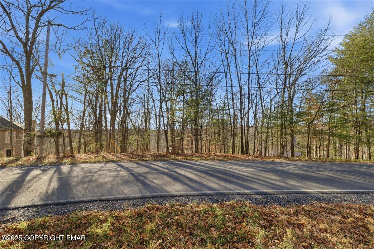 3 Manchester Drive Bushkill, PA 18324 - Photo 10 of 14 a view of a backyard of the house