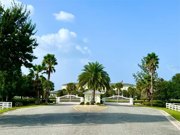 a palm tree sitting on the side of a street