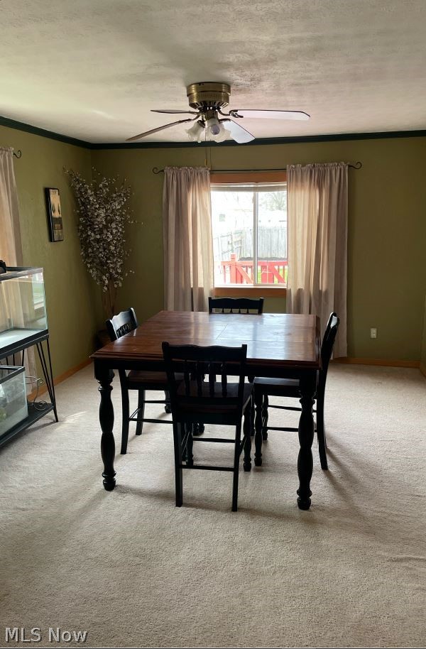 943 Reed Avenue Akron, OH 44306 - Photo 4 of 13