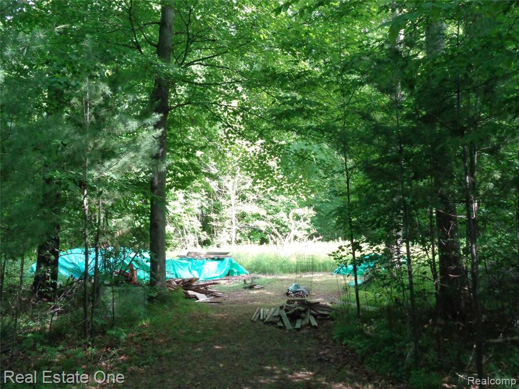 0 South Baldwin Road Clarkston, MI 48348 - Photo 5 of 30