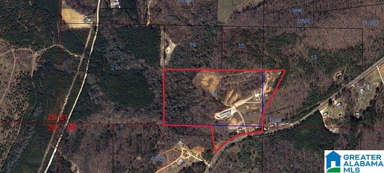 Bluff Springs Road Ashland, AL 36251 - Photo 12 of 12