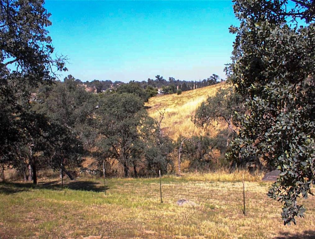 32860 George Smith Road Squaw Valley, CA 93675 - Photo 34 of 35 a view of a yard