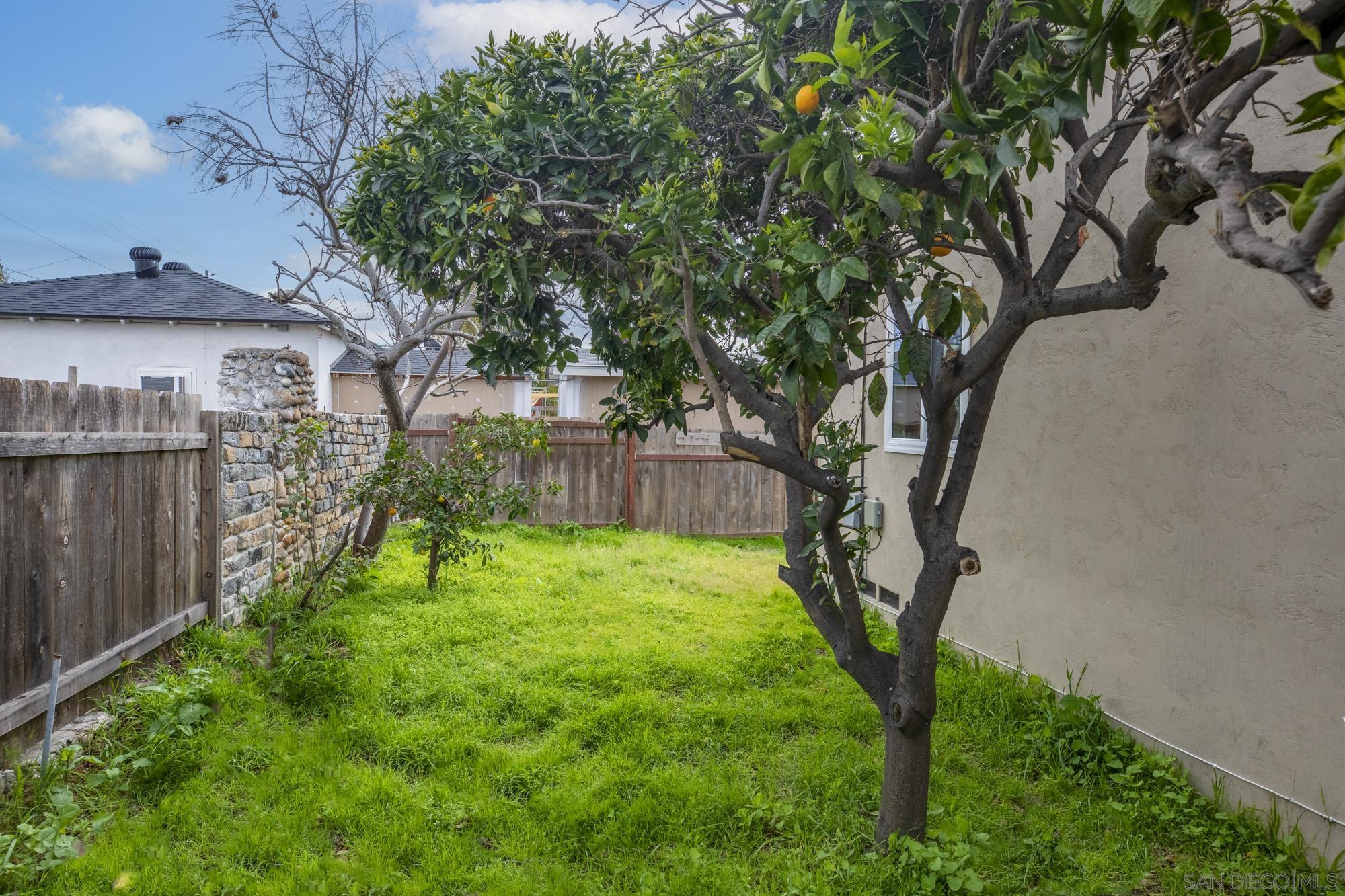 6979 Tower Street La Mesa, CA 91942 - Photo 27 of 30 a view of a backyard with a tree
