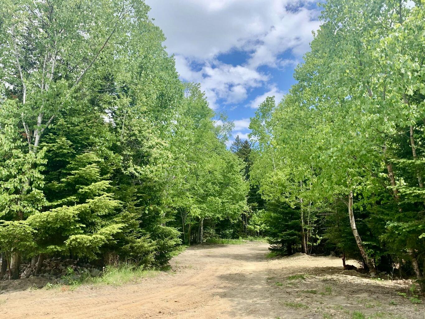 643 Sunset Road Deer Isle, ME 04627 - Photo 21 of 24 20220729163326719343000000-o