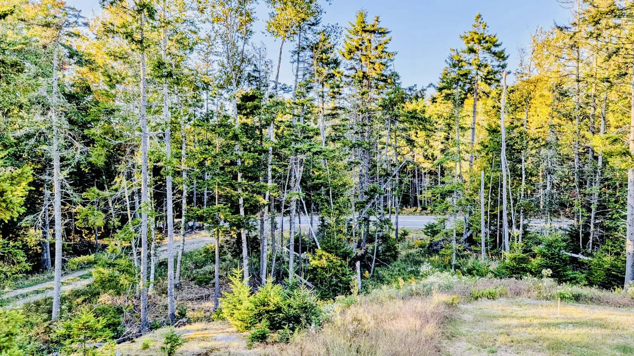 643 Sunset Road Deer Isle, ME 04627 - Photo 22 of 24 IMG_3711