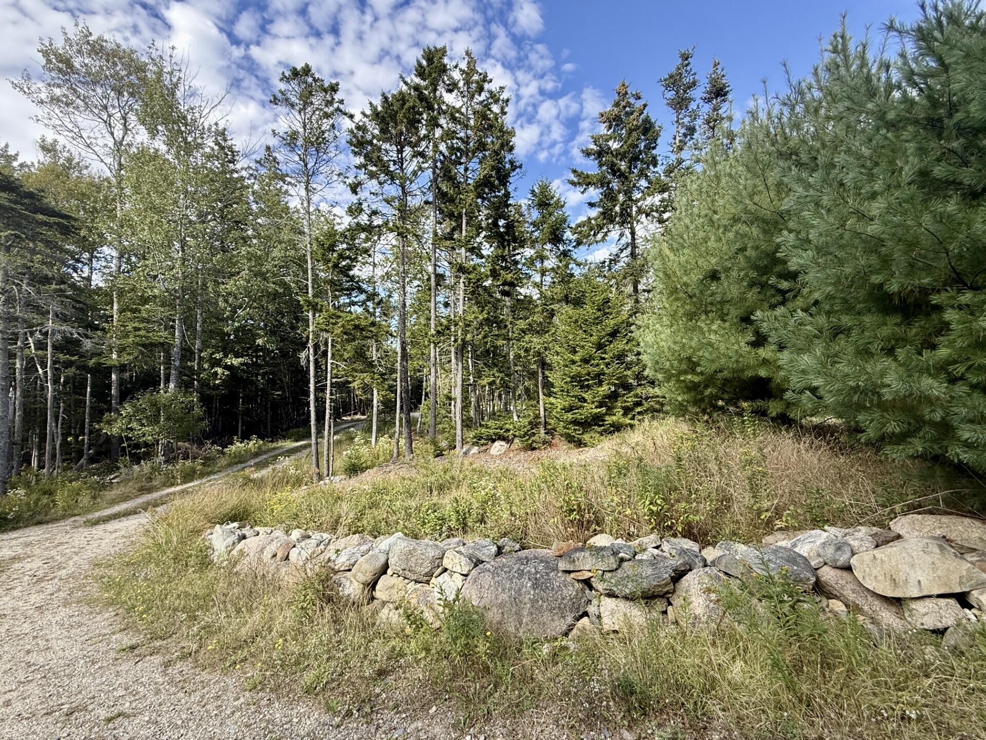 643 Sunset Road Deer Isle, ME 04627 - Photo 23 of 24 thumbnail_IMG_3142