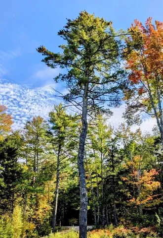 $218,000 | 643 Sunset Road, Deer Isle, ME 04627