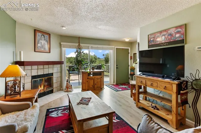 a living room with furniture a flat screen tv and a fireplace