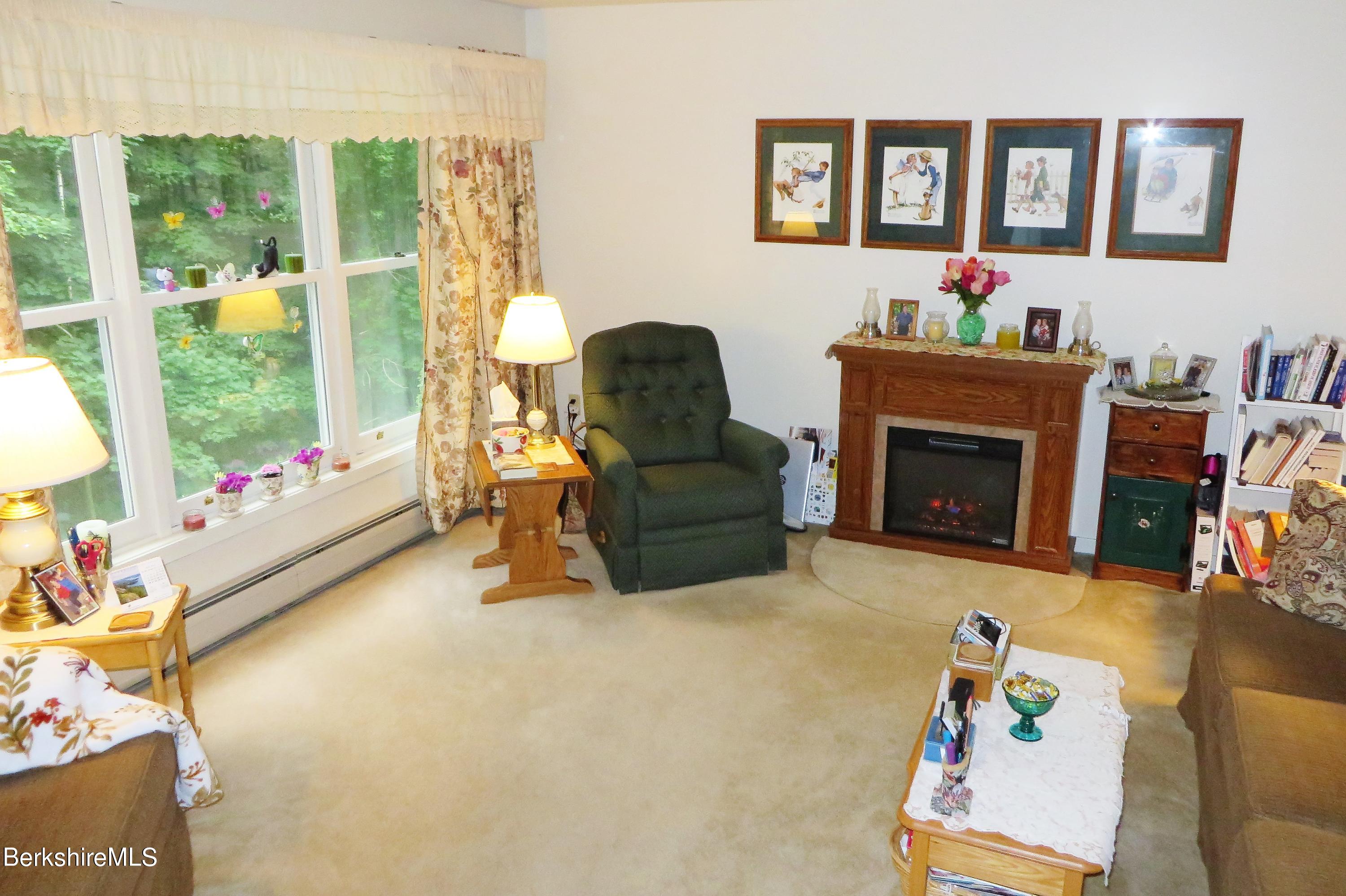 751 Mohawk Trail, Unit 1D North Adams, MA 01247 - Photo 13 of 32 a living room with furniture and a fireplace