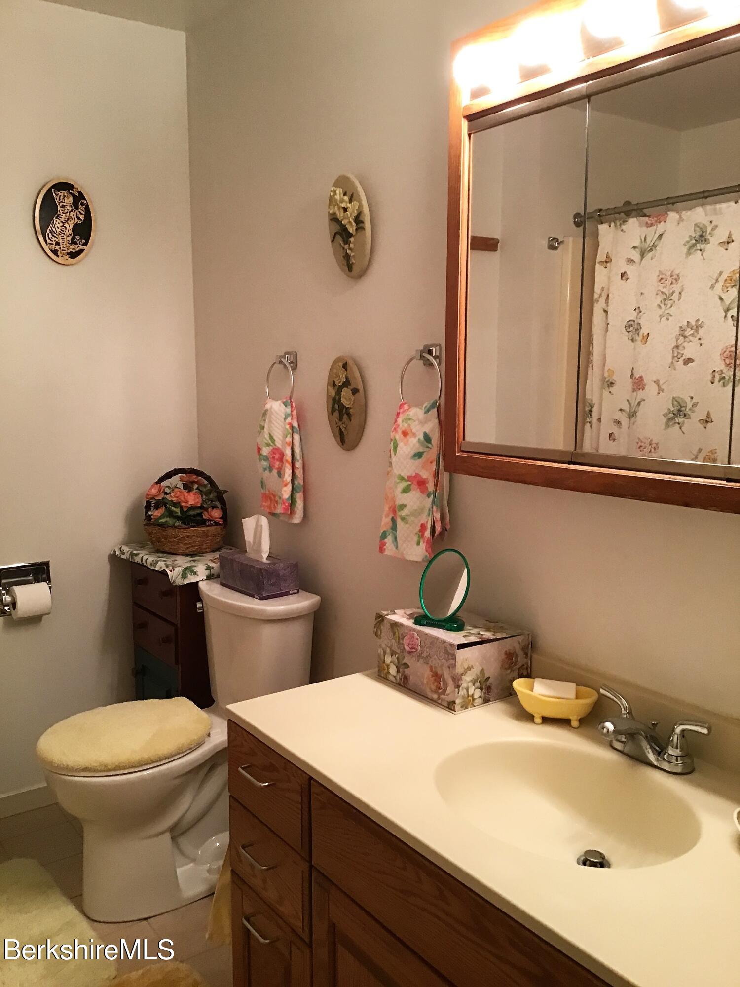 751 Mohawk Trail, Unit 1D North Adams, MA 01247 - Photo 23 of 32 a bathroom with a toilet sink and mirror