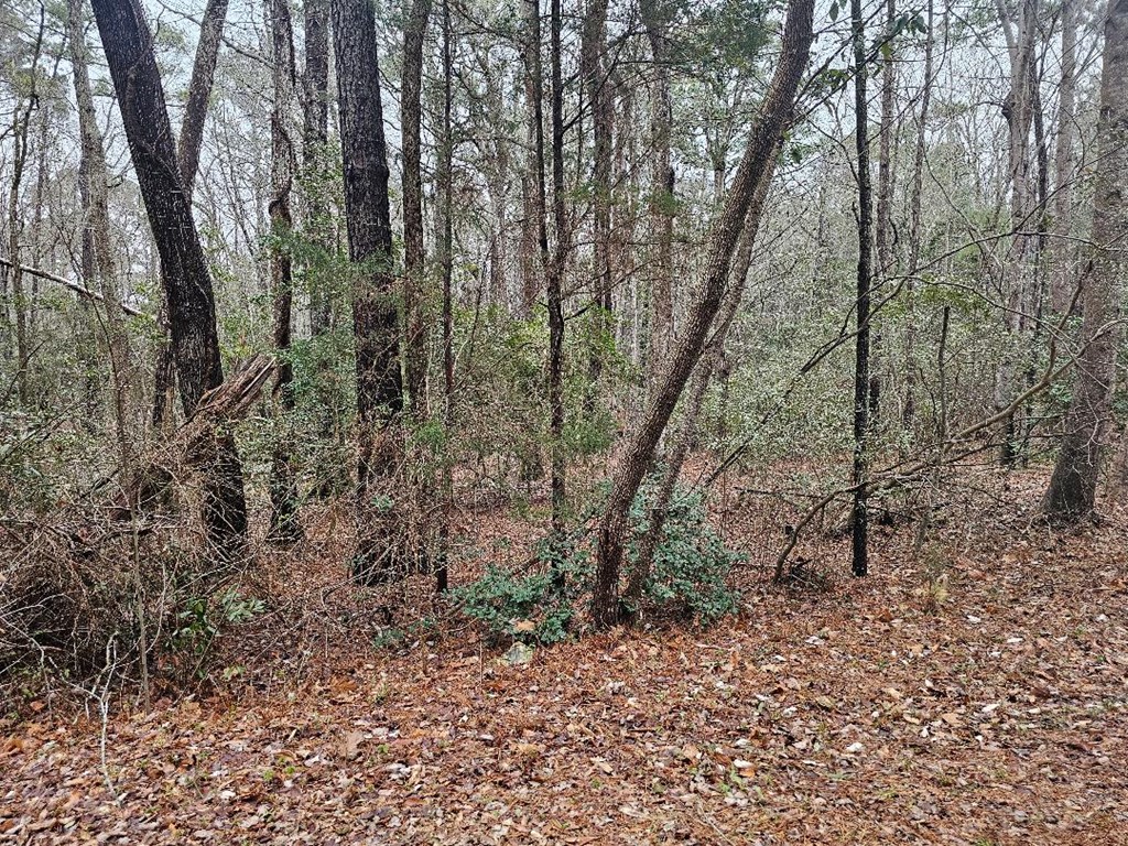 Lot 25 Jacobus Creek Road, Unit 25 Machipongo, VA 23405 - Photo 2 of 3