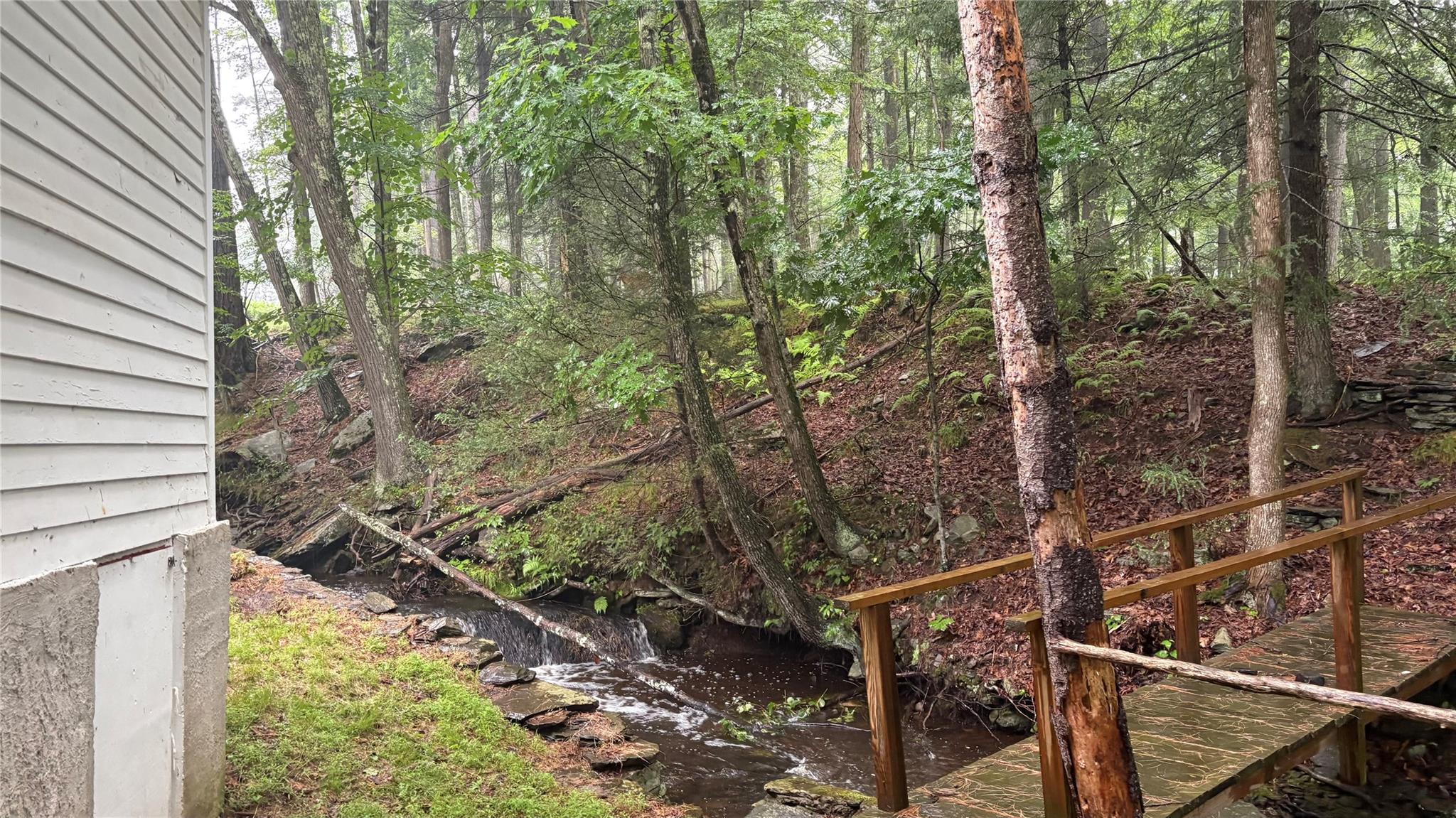 20 Airport Road Eldred, NY 12732 - Photo 11 of 23 a view of forest