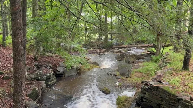 a row of trees and covered with wooden fence
