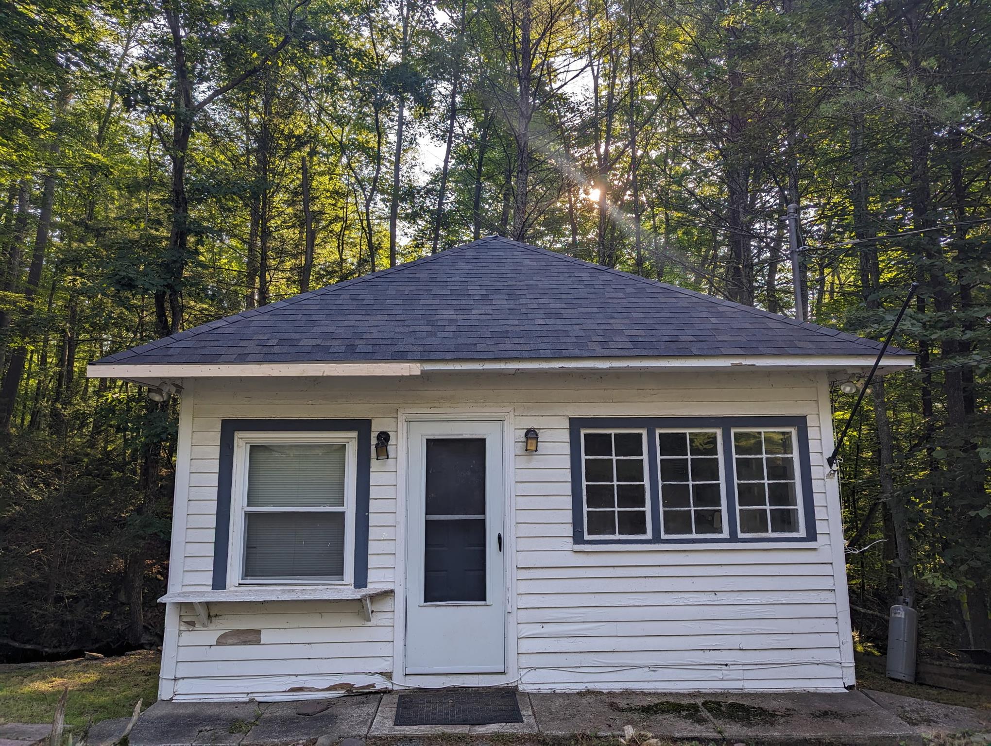 20 Airport Road Eldred, NY 12732 - Photo 2 of 23 a view of a house with a tree