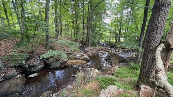 20 Airport Road Eldred, NY 12732 - Photo 3 of 23 a big yard with lots of green space