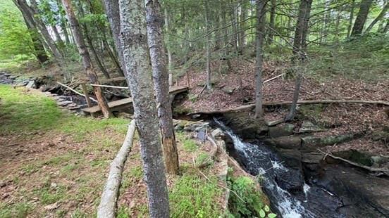20 Airport Road Eldred, NY 12732 - Photo 4 of 23 a backyard of a house with lots of green space