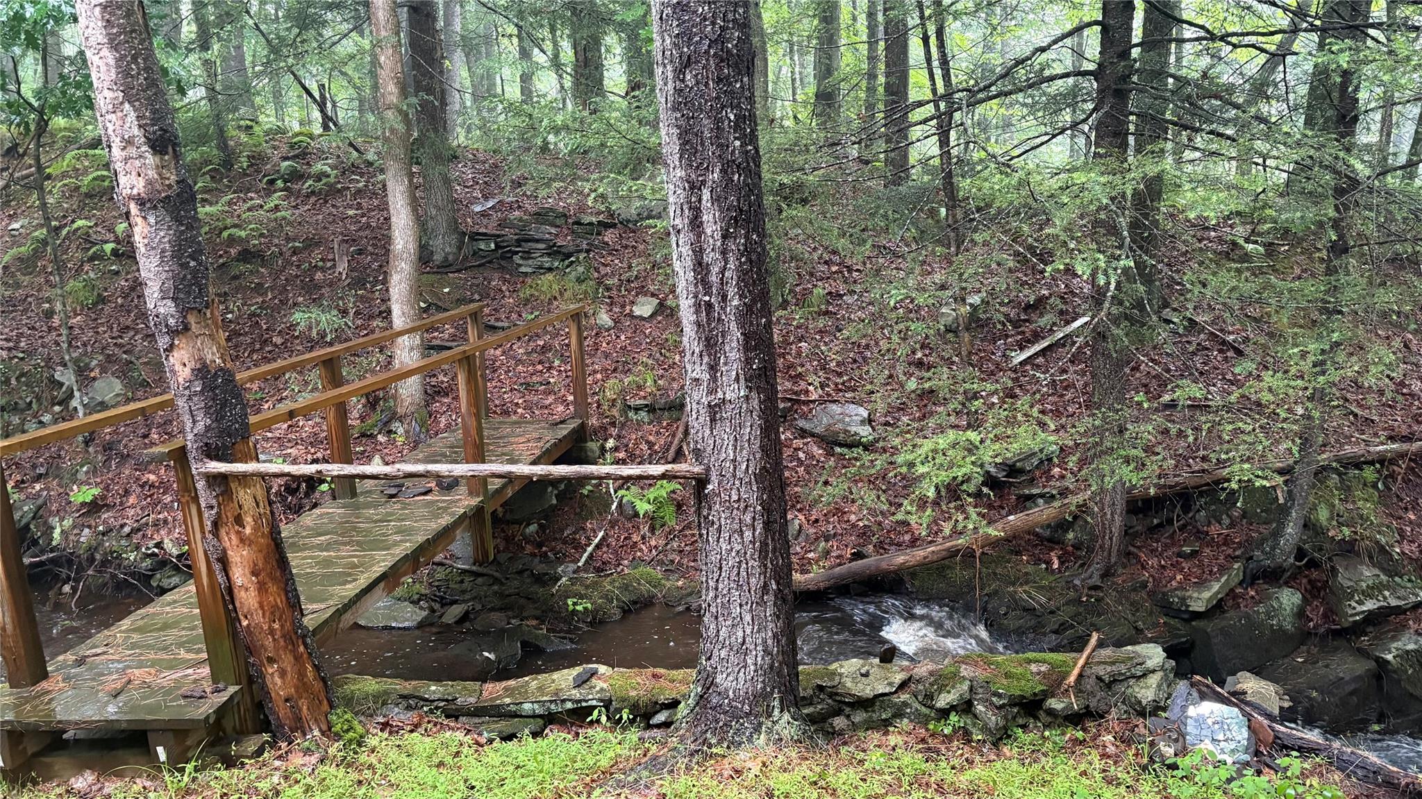 20 Airport Road Eldred, NY 12732 - Photo 7 of 23 a view of a forest