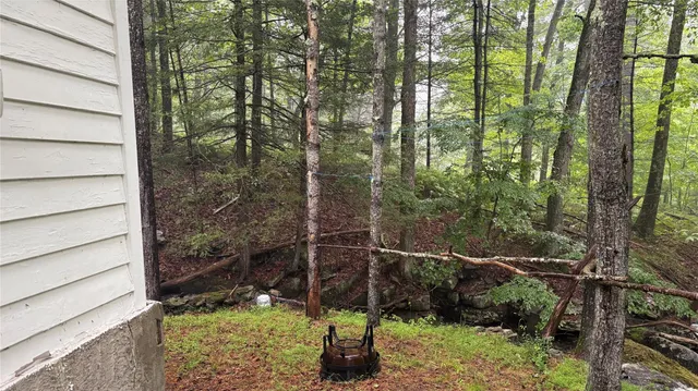 a view of outdoor space and green space